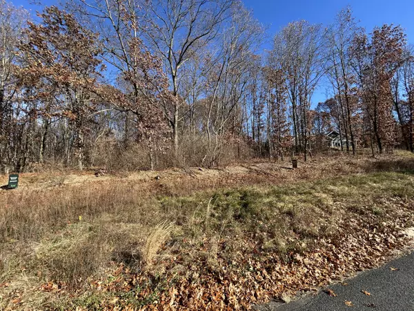 Mattawan, MI 49071,10699 Mystic Heights Trail