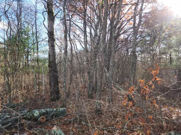 Baldwin, MI 49304,VL US-10 NW