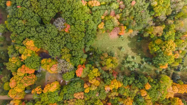 Plainwell, MI 49080,14086 Kane Road