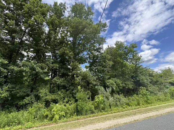 Fennville, MI 49408,E 119th Avenue #1