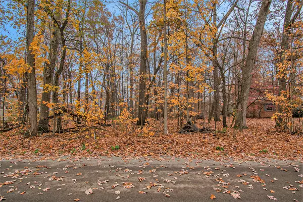 0 6th Street, Edwardsburg, MI 49112