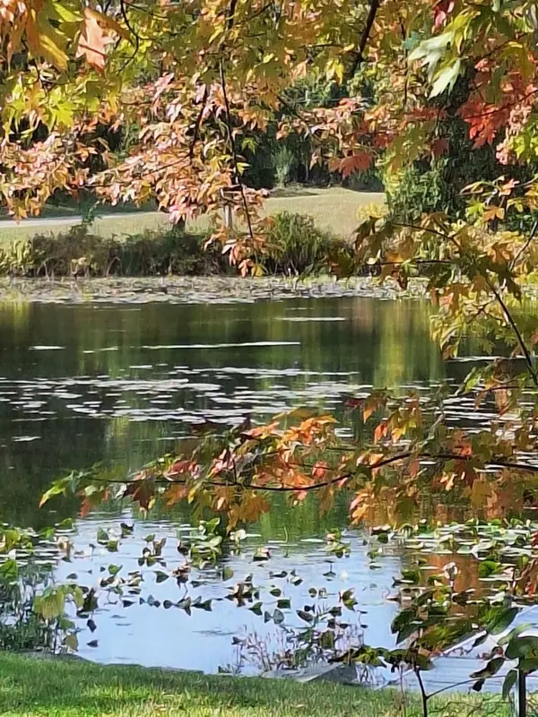 Vicksburg, MI 49097,136 S Mill Street