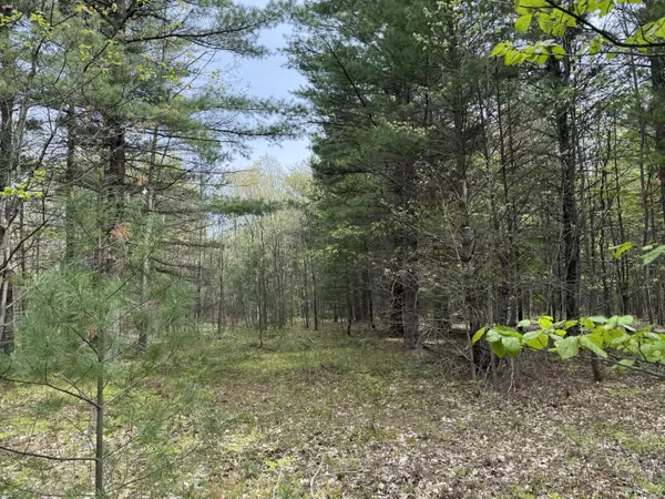 Critter Trail #Parcel C, Manistee, MI 49660