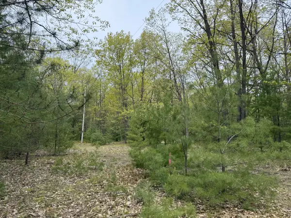 Manistee, MI 49660,Critter Trail #Parcel C