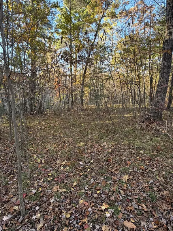 V/L Maple Hill Road #Parcel C, Howard City, MI 49329