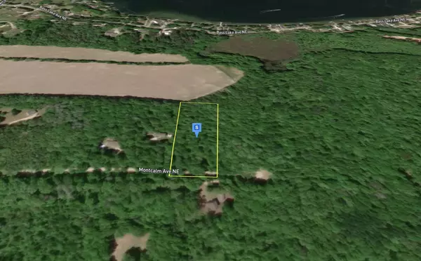 Gowen, MI 49326,16299 Williams Woods