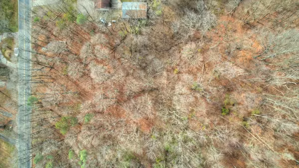 Allegan, MI 49010,3615 Allegan Dam Road #LOT C