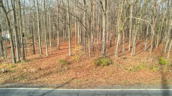 Allegan, MI 49010,3615 Allegan Dam Road #LOT C