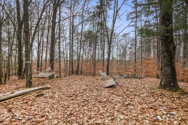 3205 E 14 Mile Road, Bitely, MI 49309