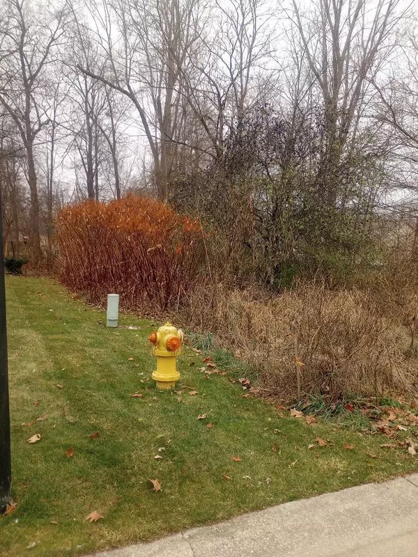 Clio, MI 48420,4093 Libbie Drive