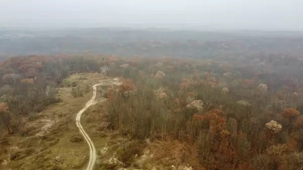 Big Rapids, MI 49307,V/L 40 Acres 160th Avenue