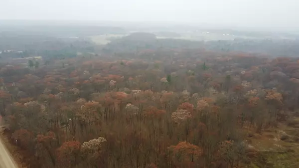 Big Rapids, MI 49307,V/L 40 Acres 160th Avenue