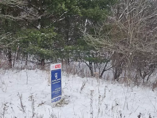 Grant, MI 49327,11298 S Gordon Avenue