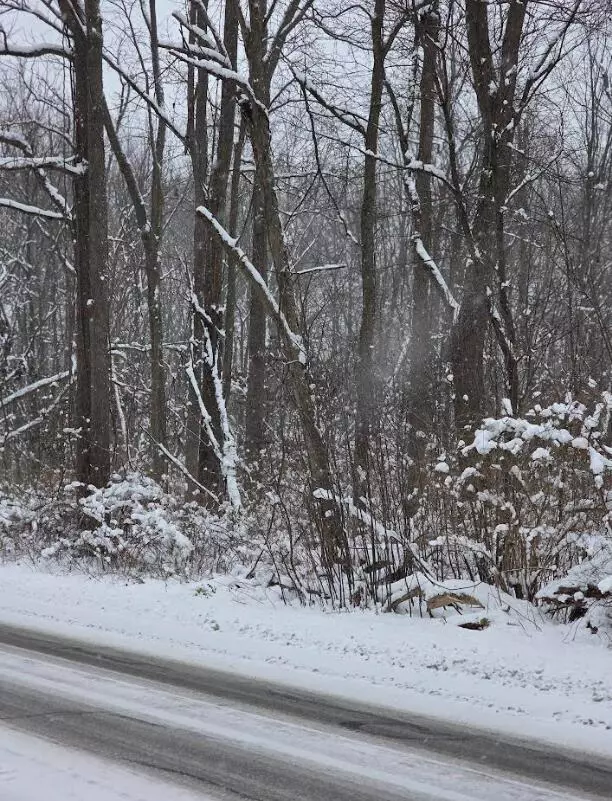 Plainwell, MI 49080,V/L 11th Street