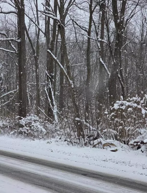 V/L 11th Street, Plainwell, MI 49080