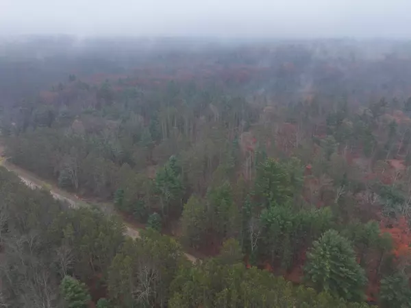 Custer, MI 49405,6270 S Woods Trail