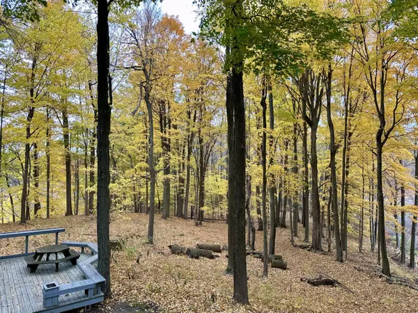 Augusta, MI 49012,15833 E B Avenue