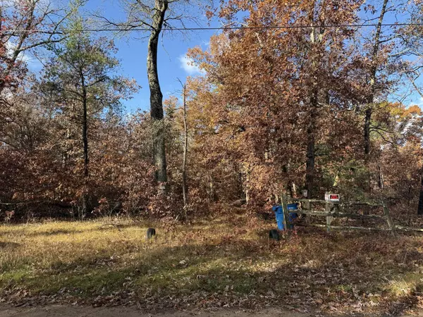 Baldwin, MI 49304,3544 S Cornell Avenue