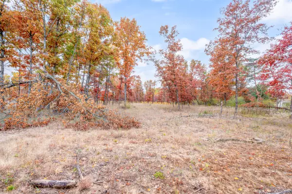 Big Rapids, MI 49307,V/L 16 Mile Rd