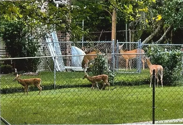 Kalamazoo, MI 49008,1110 Denway Drive