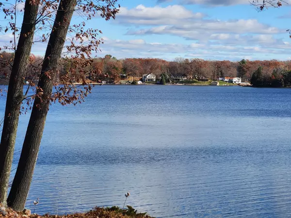 10980 N Marywood Drive, Stanwood, MI 49346