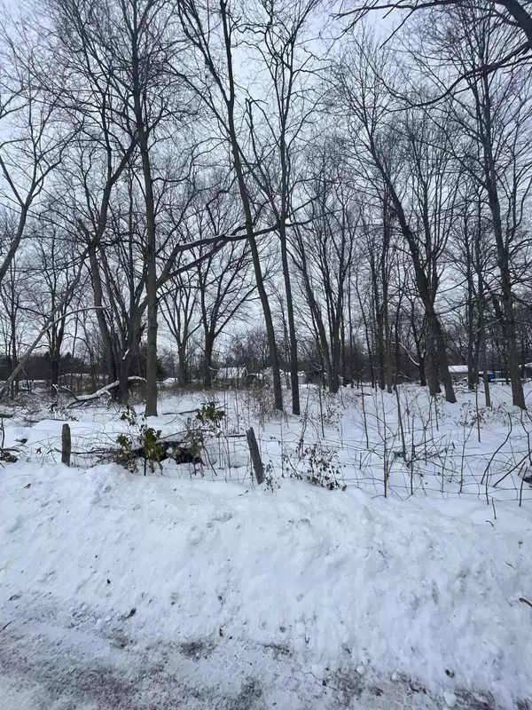 Three Rivers, MI 49093,V/L 13th and Cypress Court