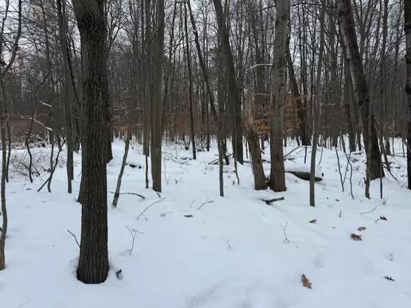 12066 Red Feather Lane, Canadian Lakes, MI 49346