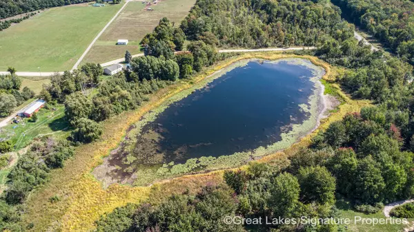 Pierson, MI 49339,VL W Stanton Road