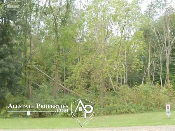 2296 S State Road, Davison, MI 48423