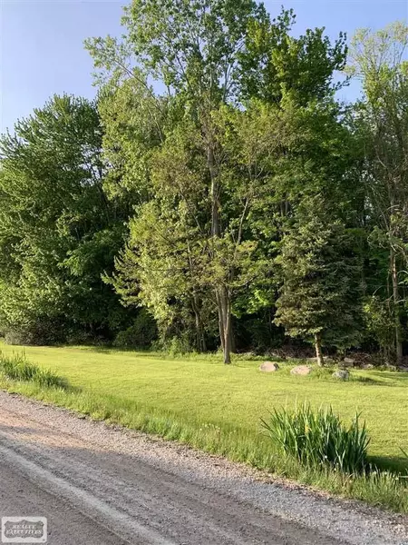 01 Vandy Street, MI 48080