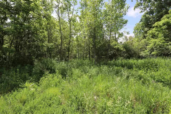 Flushing, MI 48433,Potter Road