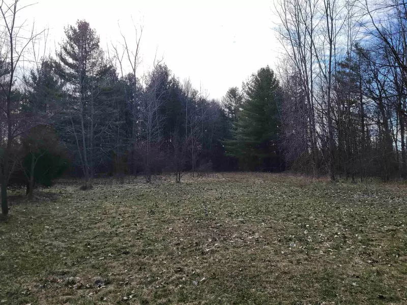 00 Clio Road, Clio, MI 48420