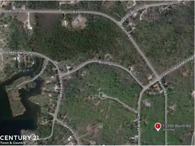 15390 Wurm Road Drive, Wolverine, MI 49799