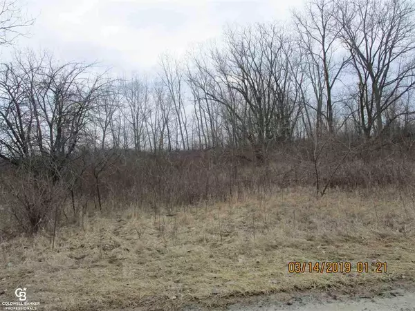 Richmond, MI 48062,00 Armada Ridge Parcel 6 Road