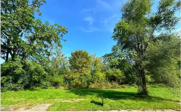 421 E Lorado Avenue, Flint, MI 48505