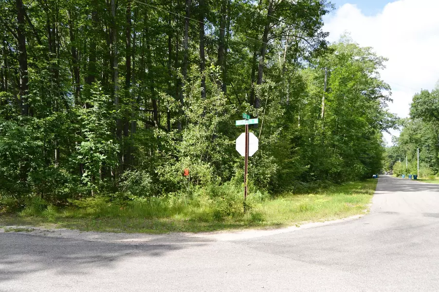 0 Vista, Roscommon, MI 48653