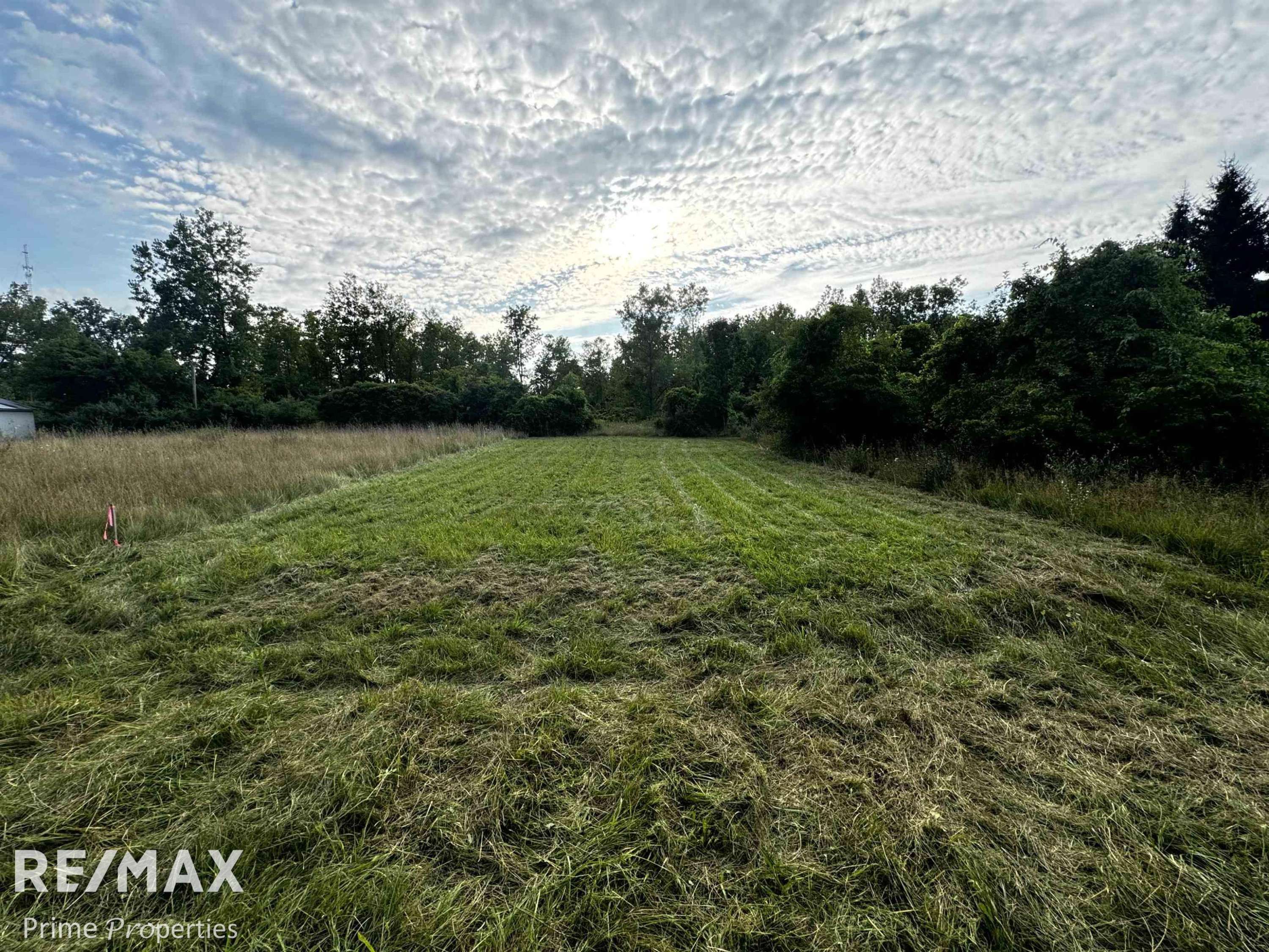 MI 48450,000 Sylvia Drive