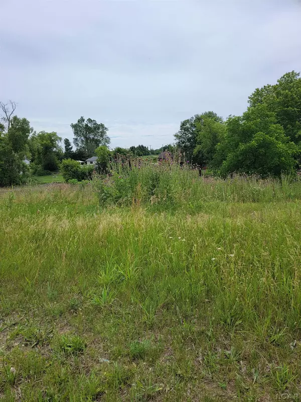 Onsted, MI 49265,10000 M50 Road