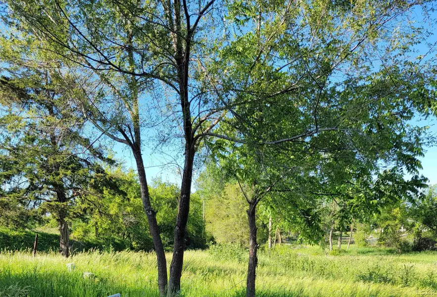 10000 M50 Road, Onsted, MI 49265