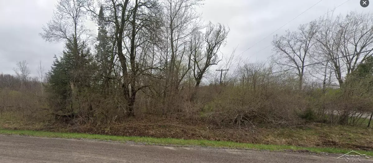 Flushing, MI 48433,VL W Frances Road