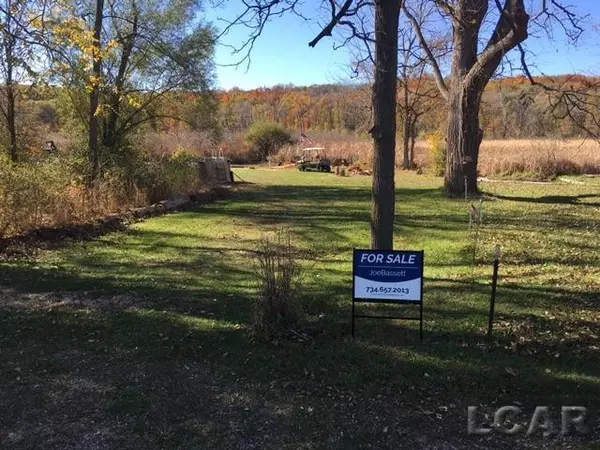 Onsted, MI 49265,lot 31 N canal st Beach
