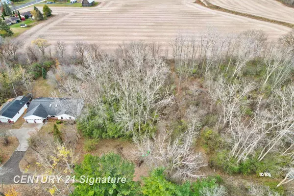 Parcel 195 Joan, Auburn, MI 48611