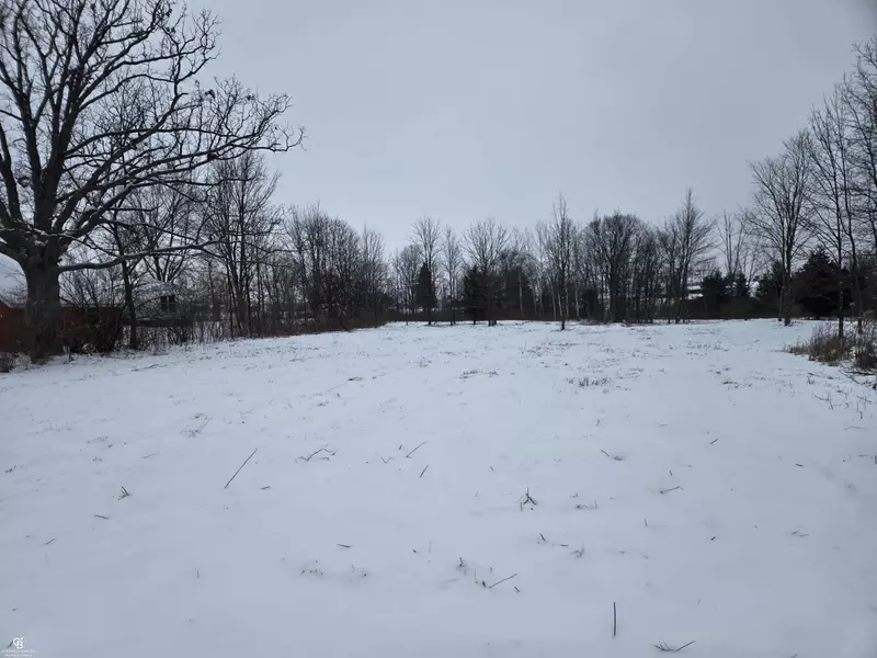 0 Downey VL Road, Capac, MI 48014