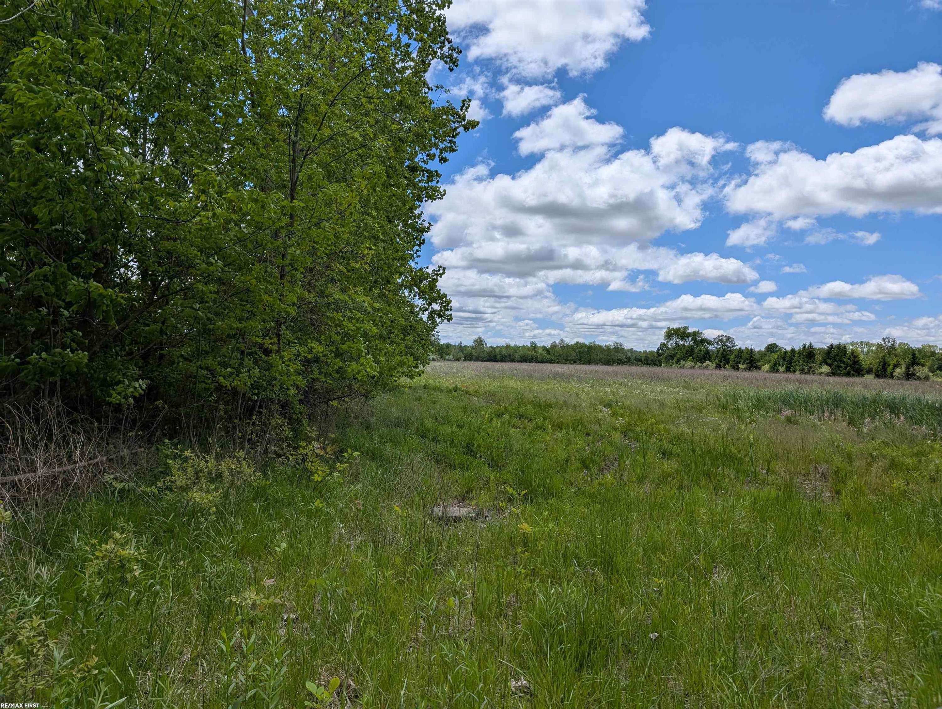 MASTERS Road, Wales, MI
