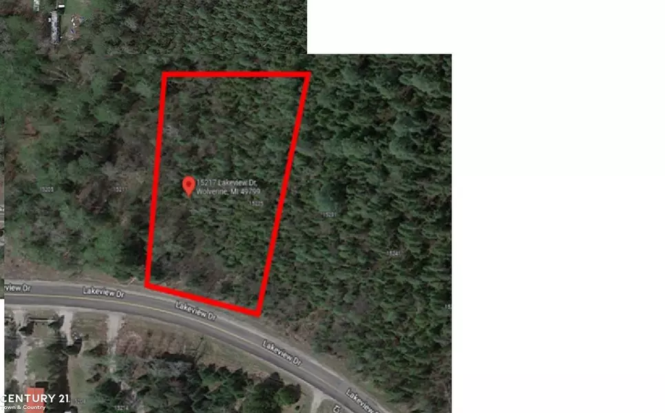 15217 Lakeview Drive, MI 49799