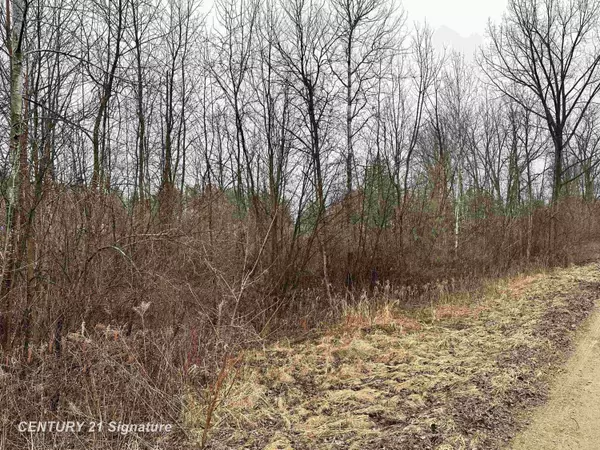 Beaverton, MI 48612,4019 Bay Avenue