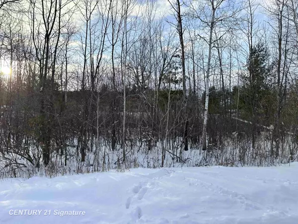 Beaverton, MI 48612,4019 Bay Avenue