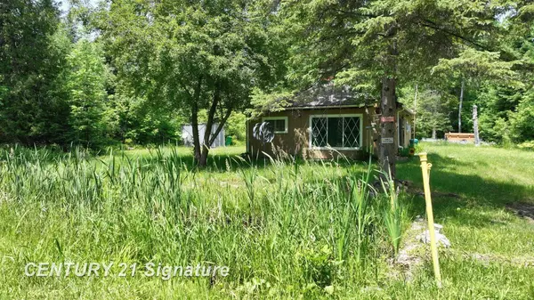 Alger, MI 48610,6002 Wildwood Drive