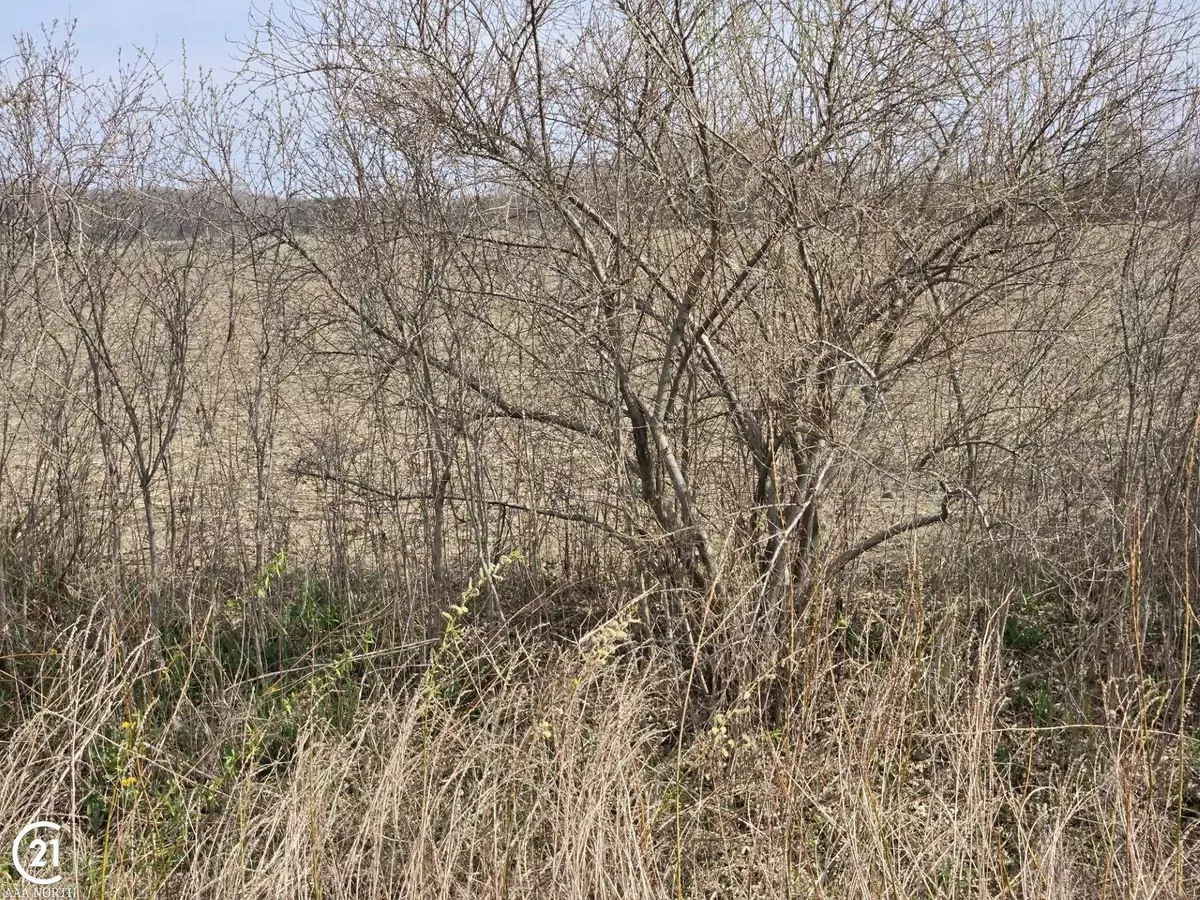 MI,0 Weber (Lot B) Road