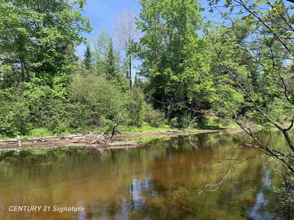 V/L Steckert Bridge Road, Roscommon, MI 48653